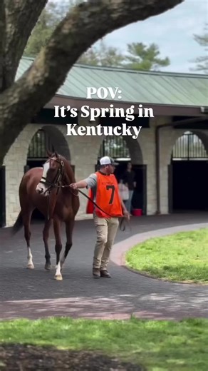 Spring is nearly here.. along with racing and horse show season for Kentucky! 🌸🏇 Are your horses ready for the performance season? Excel has what you need to thrive this year! #equestrian #spring #horseshowseason #horses