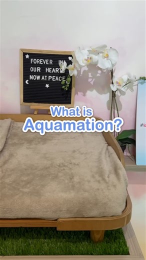 “What is Aquamation?” 💧 It’s a gentle, water-based alternative to flame cremation — and many pet parents choose it because it’s safer for the earth, and kinder on the heart. Our staff is always ready to walk you through it, answer your questions, and offer the kindest possible goodbye for your beloved companion. ‌ 💙 We’re here to help, every step of the way. 📍 Taguig City 📞 0915-973-3921 | 0969-511-5269 #Aquamation #PetsInPeacePH #EcoFriendlyCremation | Pets in Peace Pet Aquamation