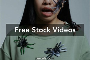 Web Studio Videos, Download The BEST Free 4k Stock Video Footage & Web Studio HD Video Clips