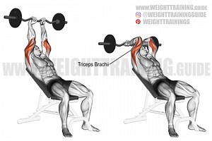Incline EZ bar triceps extension exercise instructions and video