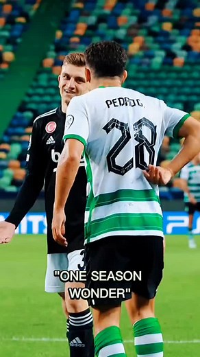 Sporting Fans on TikTok