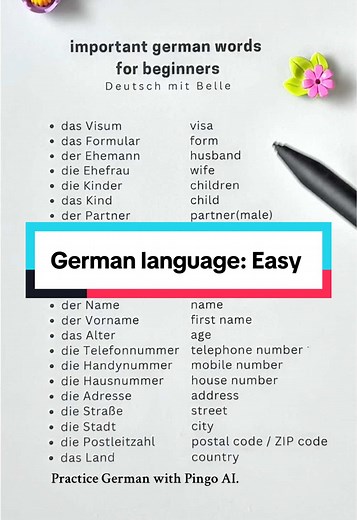 German Language Basics for Beginners: Easy Guide