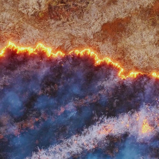 26K views · 834 reactions | The climate emergency is making extreme weather events like heatwaves and wildfires more intense and more likely. Once relatively rare, supercharged temperatures are becoming more common with climate change. Find out how communities can prepare: https://unep.org/news-and-stories/story/boiling-hot-how-countries-can-beat-growing-threat-extreme-heat | UN Environment Programme | Facebook