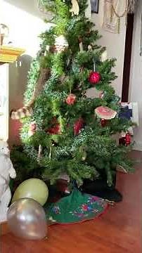 Cat Destroys Christmas Tree and Knocks it Down - 1396557