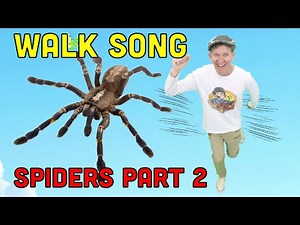 "Let's Run Away" Spiders Part 2 Action Song | Run and Walk Song with Matt | Dream English Kids