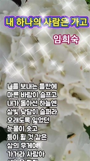 내카수노래방 따라부르기 내하나의사람