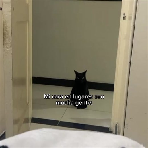 Todos están contra ti, Bart: Humor y Memes de Los Simpsons