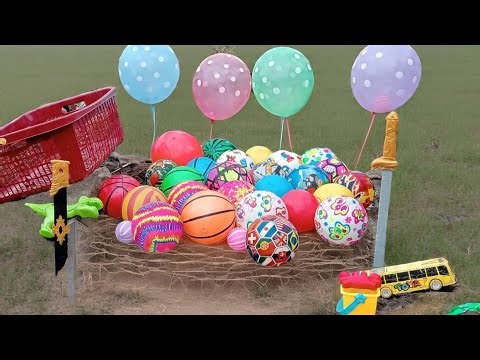 Funny Balloon and Ball Hunting ⚽🏀🏀