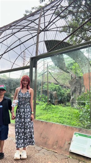 Ragunan Zoo Adventures with My Awkward Friend