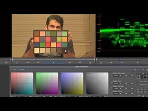 Using the McBeth color chart to color grade video