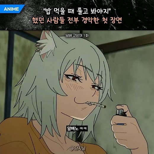 애니 첫 장면부터 기강 잡는 담배 고양이