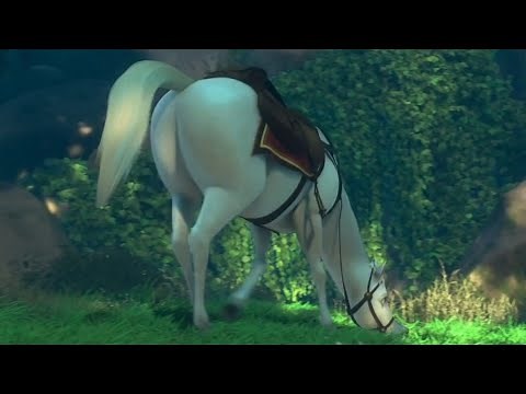 Horse Butt Moments Compilation (2021)