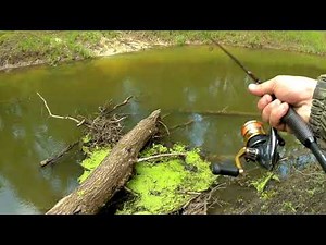 Места, куда хочется вернуться. Красивая река. Новый спиннинг Dragon Pro Guide X