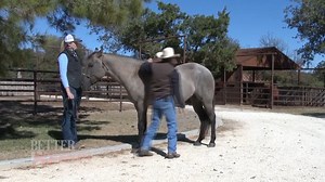 Better Horses is on Country TV every Monday at 8pm! Better Horses is a magazine style program that focuses on the equine industry including clinicians, shows, competition and events.� Tune in to Country TV Monday nights at 8pm! | Country TV | Facebook