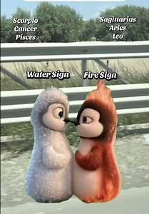 Cancer and Pisces: Why Water Signs Click Together