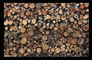 Face Cord vs Cord - Kyle's Garage