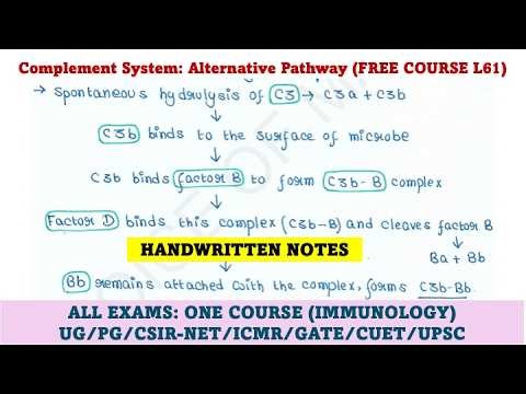 Immunology Course | L61 | Complement System | Alternative pathway