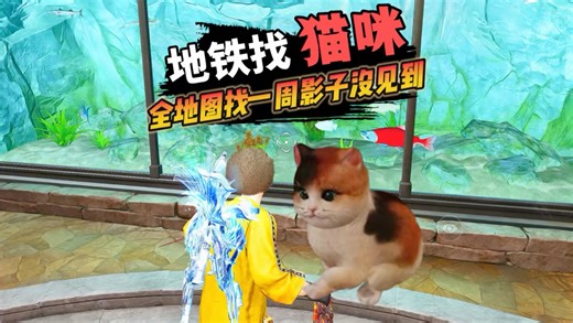 跟着这张寻猫图，继续去地铁找猫咪！