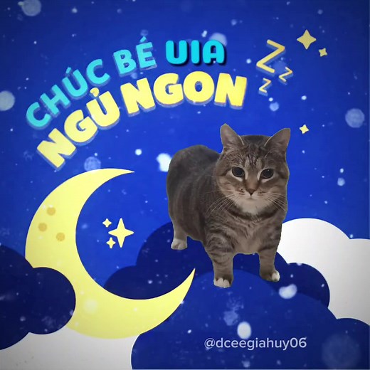 Chúc Bé Uia Ngon: Những Khoảnh Khắc Dễ Thương Của Mèo