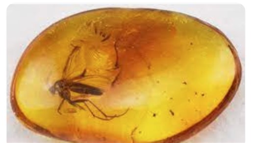 Turning a 70-year-old Egg into a Beautiful Amber Stone Necklace