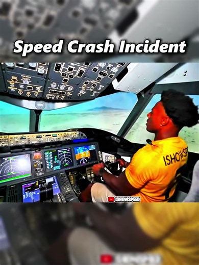 Speed Crashing On FlightRadar24 😱