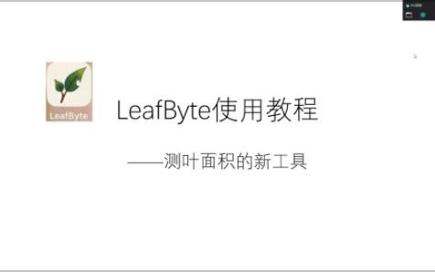 用LeafByte如何快速计算叶面积？