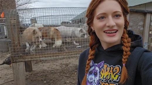 Our first group of rescues are heading to their new homes this week. All thanks to you guys!!! Now is the time to start finding placement for as many of these foxes as we can as soon as possible! We have already found over 50 qualified adopters, and are just working on transporting and health certificates! We need your help with outreach to licensed facilities! We are not asking for recommendations, we’re asking our supporters to reach out on our behalf! 🔆Reach out to your local zoos, sanctuari