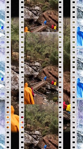 349 reactions | @jerry.the.travelling.mouse reminded us what owning...