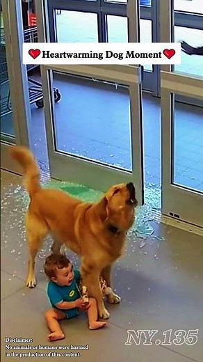Dog Protects Babies! 🐕‍🦺❤️
