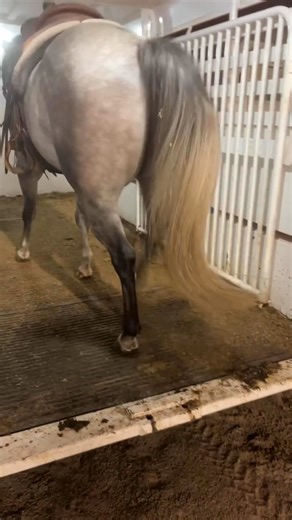 Josh Underwood on Reels