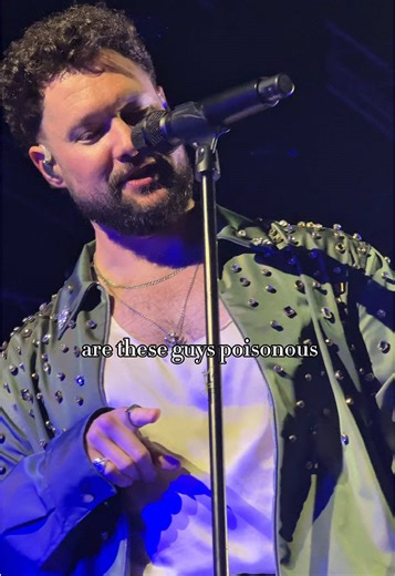 Praying Mantis Attends the Show: A Unique Encounter