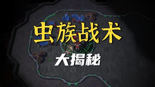 星际争霸2 LowkoTV 这个新的“小狗海”战术太强了！StarCraft 2(生肉)