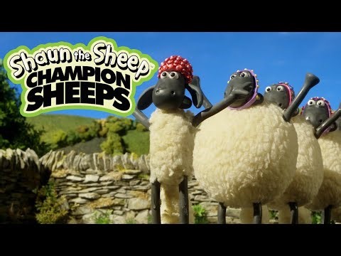 Synchronised Swimming 🏊 Championsheeps 🐑 Shaun the Sheep #sport #ShaunTheSheep