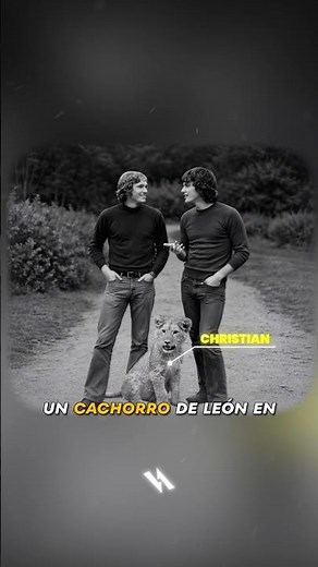 When the bond is real… it doesn't disappear 🦁❤️ #Christian #Lion #Shorts #Truestory