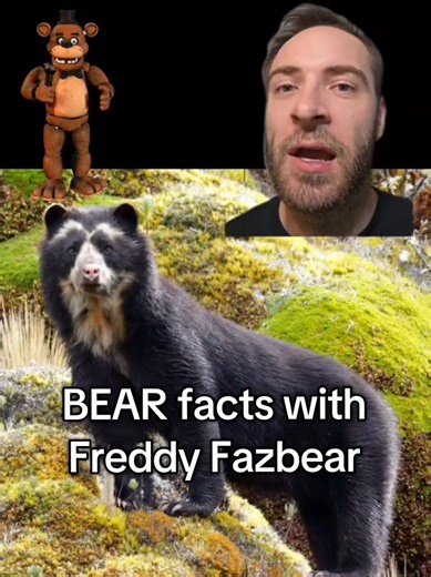 Fun facts about sun bears and spectacled bears in a Freddy Fazbear impression Subscribe to my youtube and follow my tiktok and insta @jonbeecee I've taught college biology / zoology classes and do voice impressions. I love nature and wildlife. Let me know what kind of content you wanna see next! #fyp #foryoupage #funny #comedy #voice #impression #crazy #animals #bug #fish #birds #science #education #jonbeecee #facts #funfacts #animalfacts #learning #nature #environment #wildlife #biology #zoolog