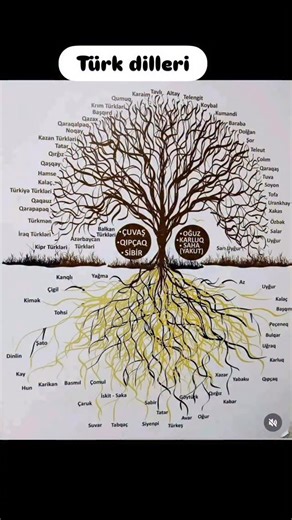 Türk dilleri… #türkdilleri #türkçe | Bülent Tuncay