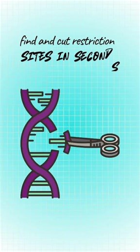 Upgrade your Bio-Career Skill! Bioinformatics Tool: NEBcutter V3.0
