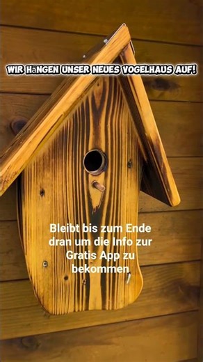 Vogelhaus anbringen leicht gemacht 👌