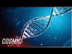 Was Darwin's Theory Of Evolution Wrong?