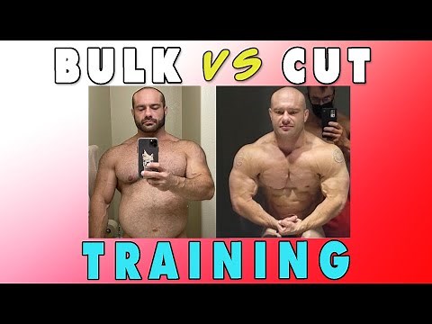 Training on a Bulk vs a Cut