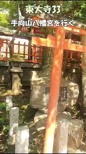 【東大寺】東大寺33 手向山八幡宮を行く 菅原道真腰掛石 東大寺鎮守社 東大寺で最も美しい風景 東大寺のすべてがわかる ＃Shorts 奈良とびっきり観光ガイド東大寺 【奈良観光】