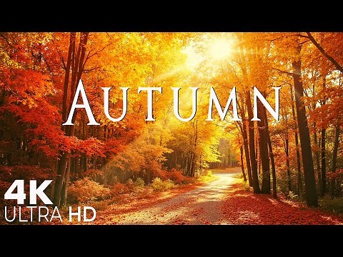 🍂Autumn 4K 🍁 Serene Fall Landscapes for Relaxation, Peace & Cozy Moments with Calming Piano Music