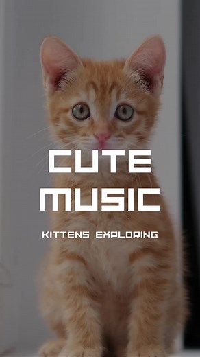 Cute Background Music for Your Videos