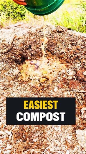 How to compost? #gardening #compost #biology #waste #soil #gardentips #nature #technique
