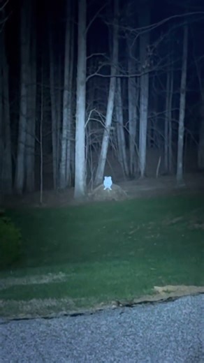 The ProTac 2.0 is a Lumen MONSTER #Streamlight #highlumen #protac