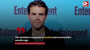 Brad Pitt looks 'smitten' with Ines de Ramon at concert