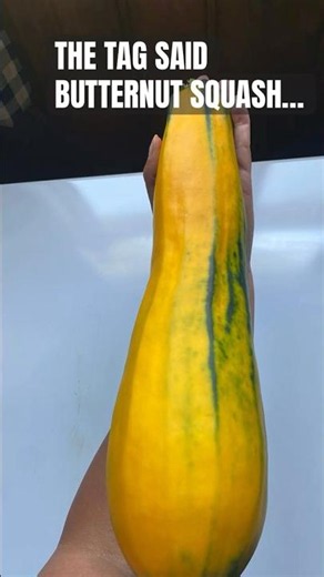 The Tag Said Butternut Squash... Then I Found THIS
