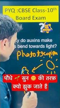 Plant Growth Secrets | 🌱 Auxin Hormone Explained