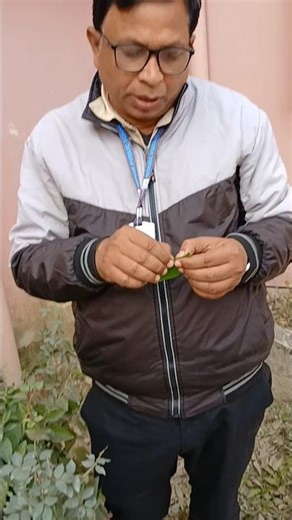 DK Sir NPS Teacher showed the stomata of a leaf without using a microscope #short #shorts #cbse