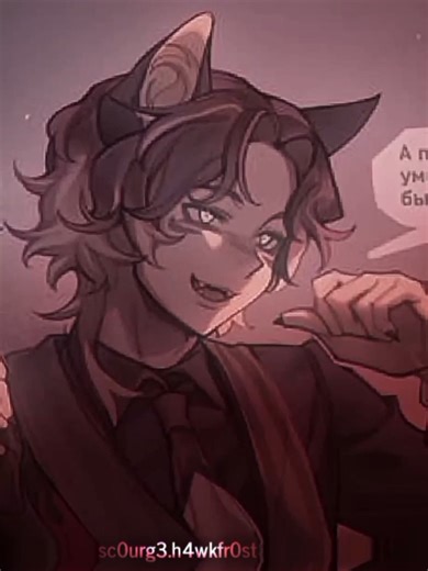 Hawkfrost: The Ultimate Warrior Cats Edit